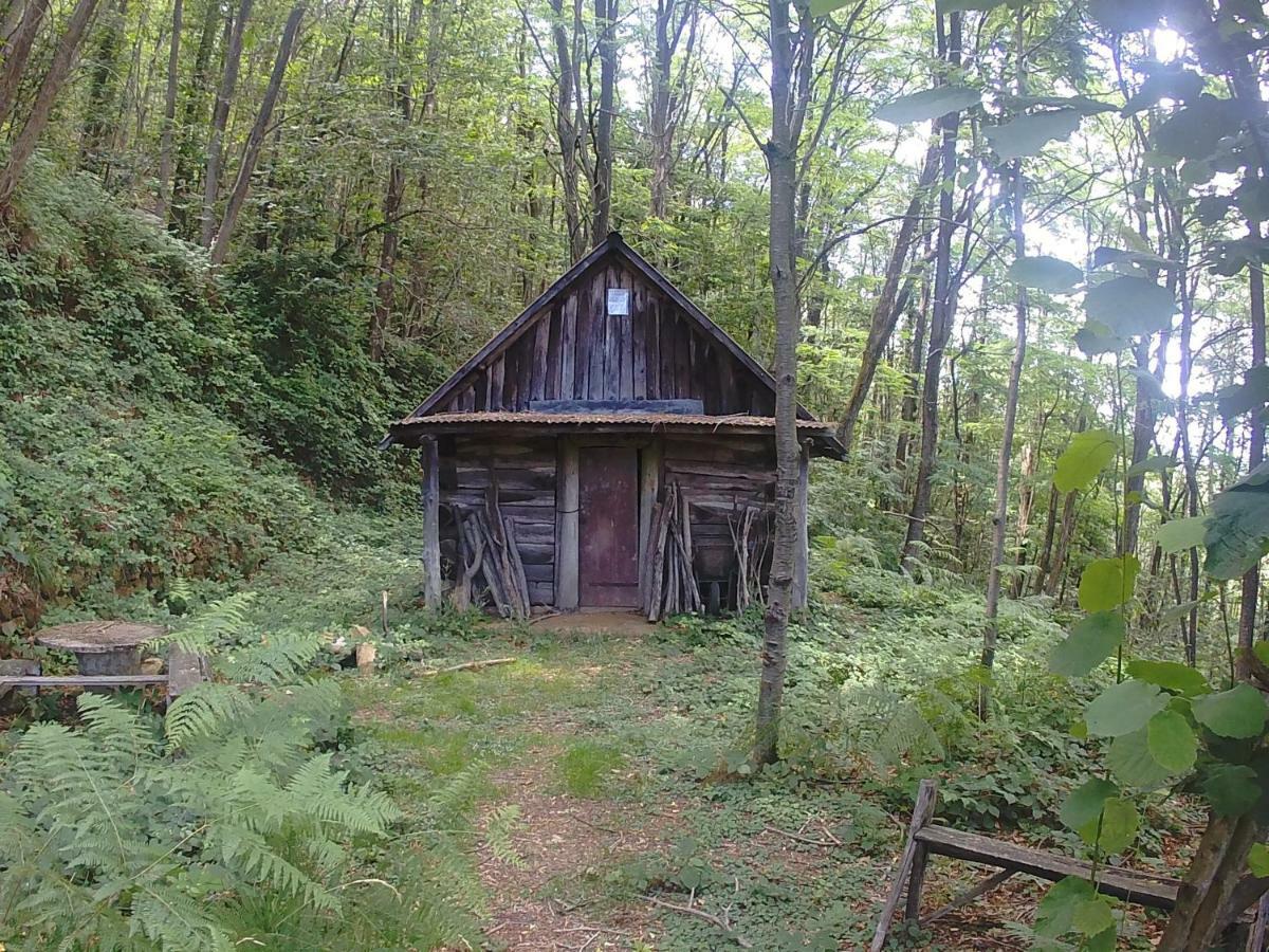 La Cantina Del Sole Villa Riccò del Golfo di Spezia Exterior foto